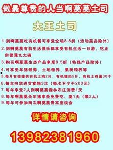 农村爆料标题大全集最新,揭秘最新热点事件背后的真相