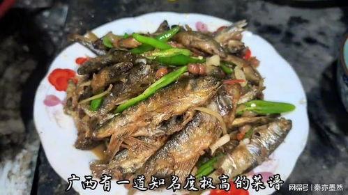 鱼仔最新爆料,揭秘娱乐圈最新动态与幕后故事