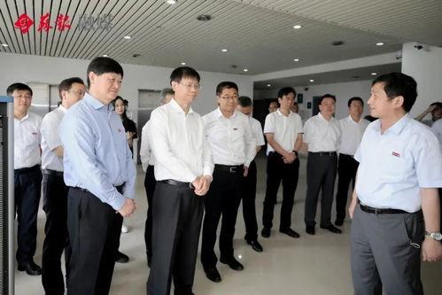 爆料禹城事件视频最新进展,视频曝光背后真相逐步浮出水面