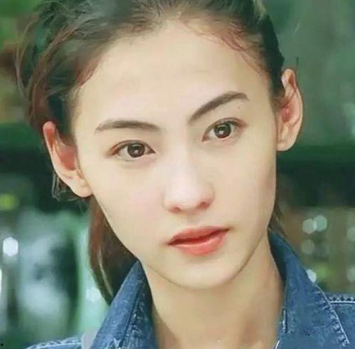 张柏芝爆料新闻最新消息,揭秘娱乐圈惊人内幕